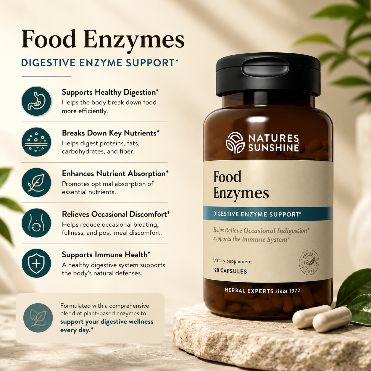 Food Enzymes – Daily Digestive Support