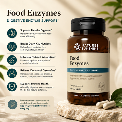 Food Enzymes – Daily Digestive Support