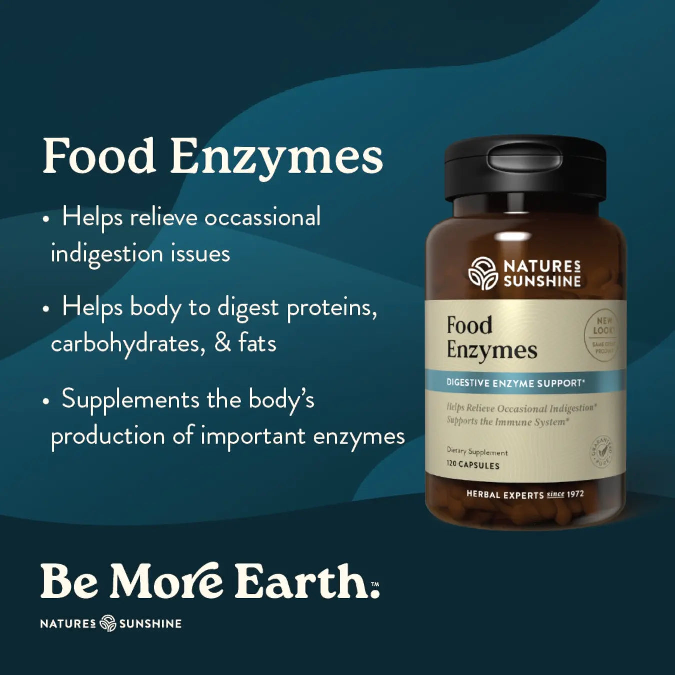 Food Enzymes – Daily Digestive Support