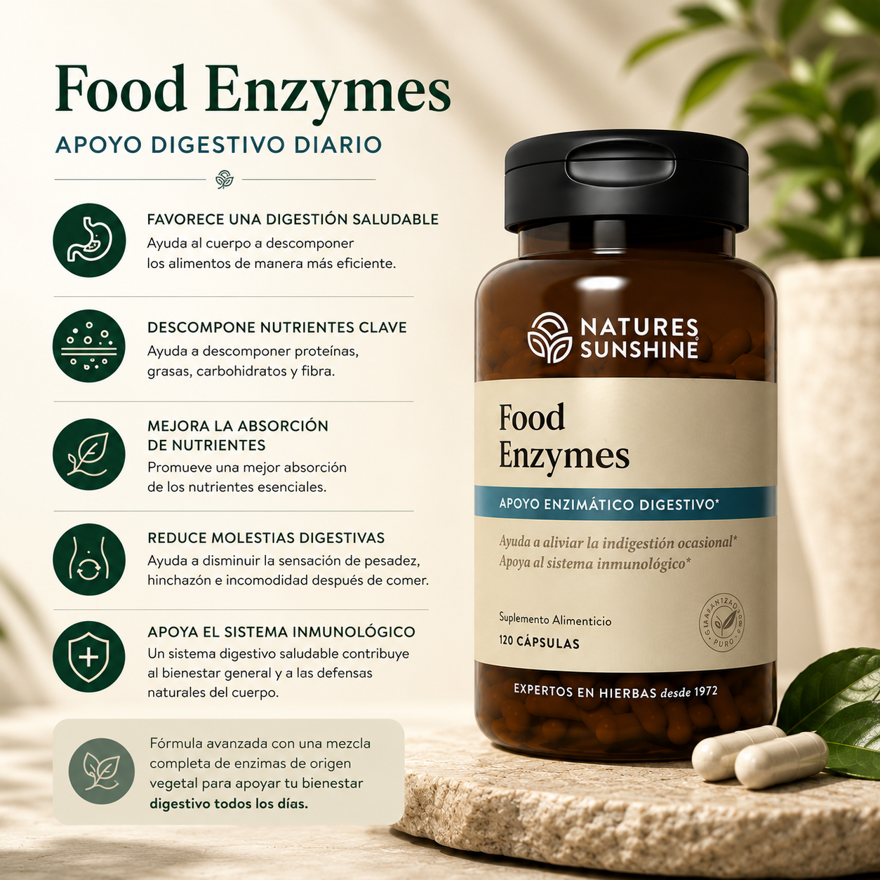 Food Enzymes – Daily Digestive Support