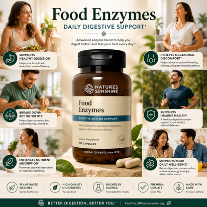 Food Enzymes – Daily Digestive Support