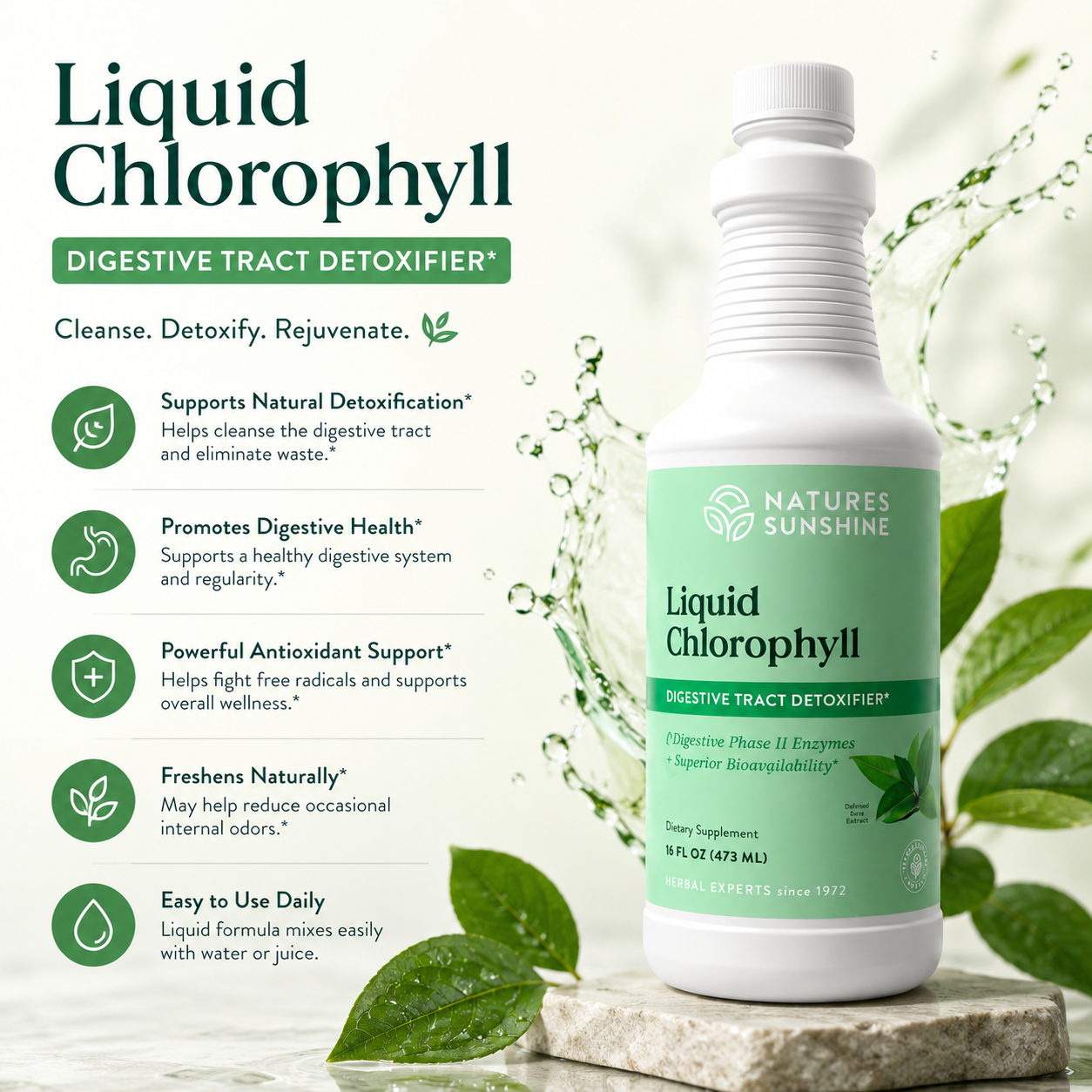 Liquid Chlorophyll – Natural Daily Detox & Digestive Support