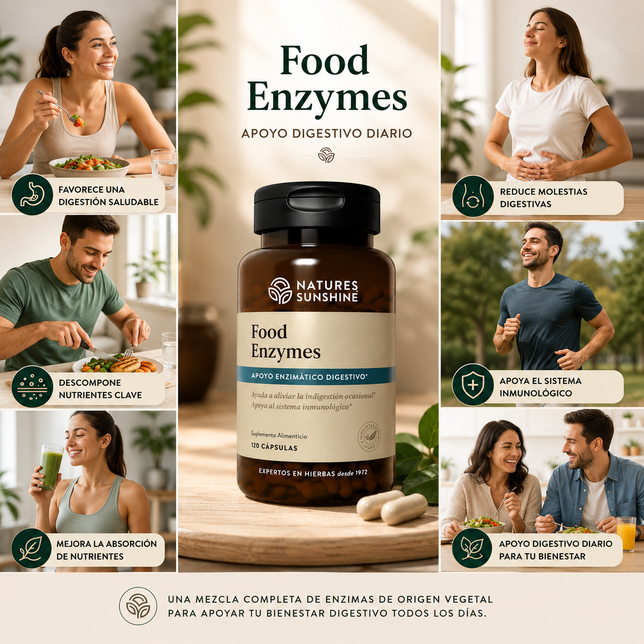 Food Enzymes – Daily Digestive Support