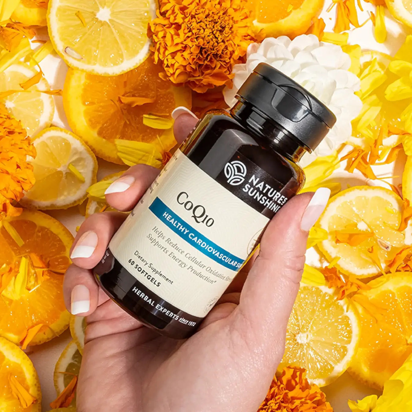 CoQ10 (100 mg) – Cardiovascular & Cellular Energy Support | Nature’s Sunshine