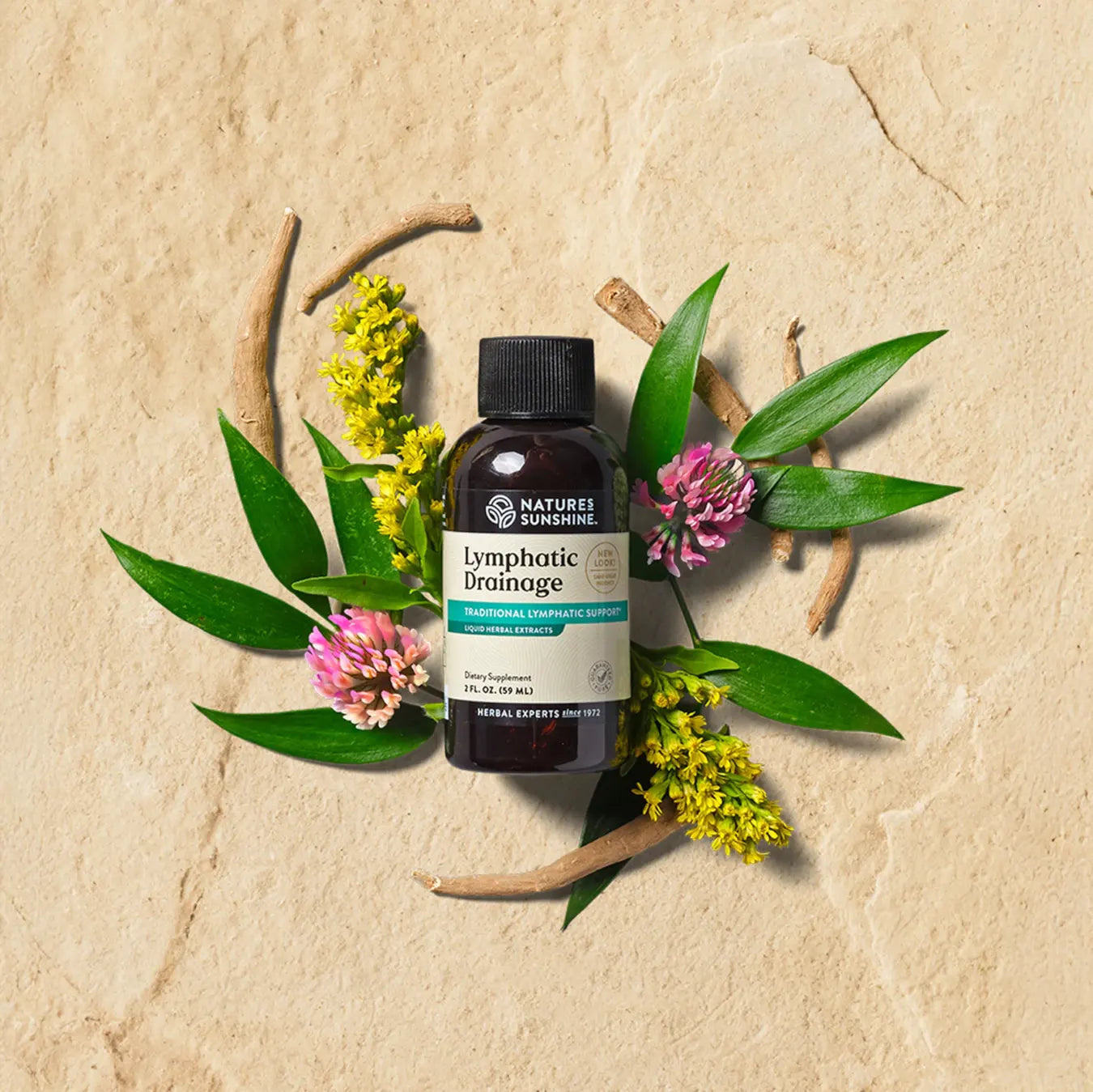 Lymphatic Drainage – Natural Lymphatic & Detox Support