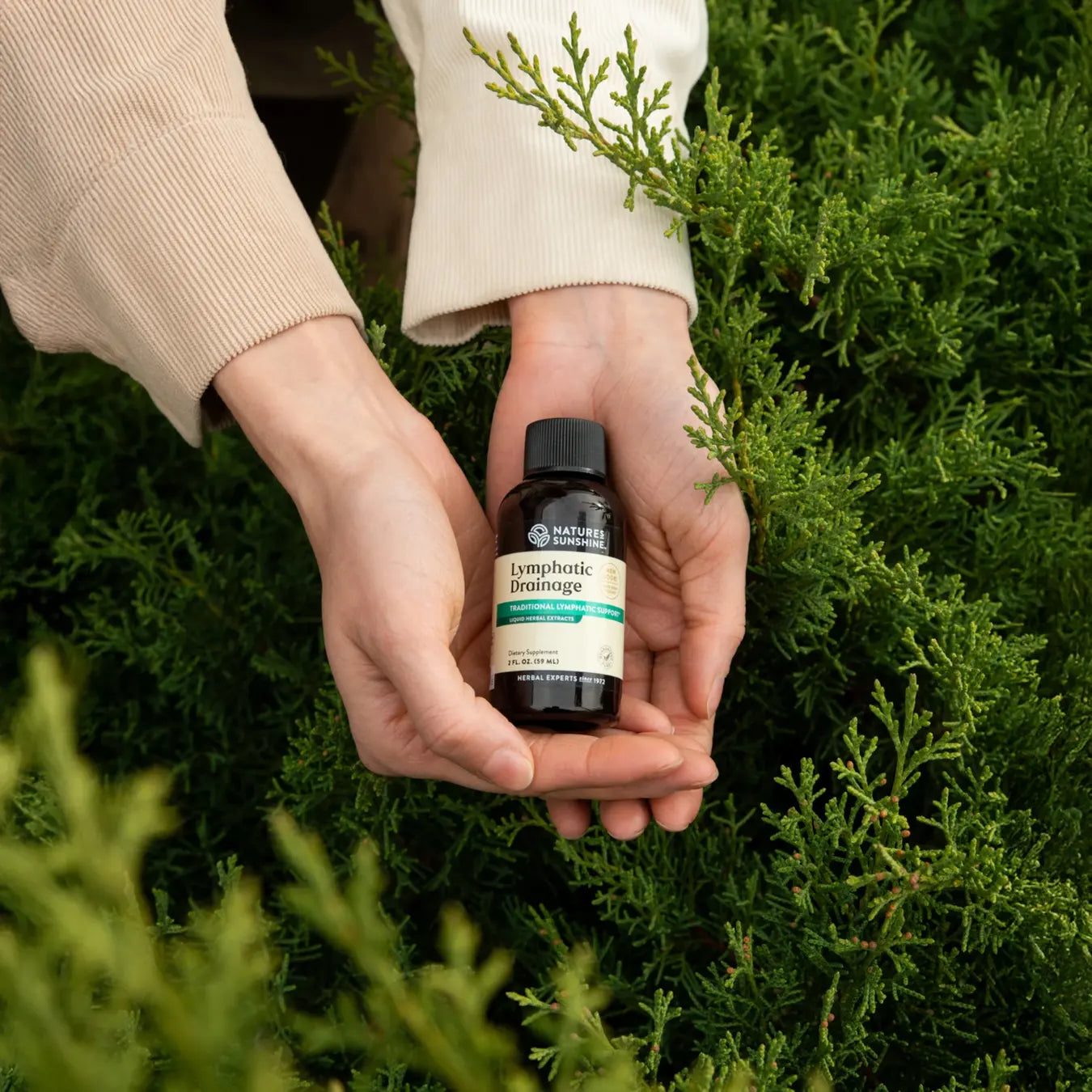 Lymphatic Drainage – Natural Lymphatic & Detox Support