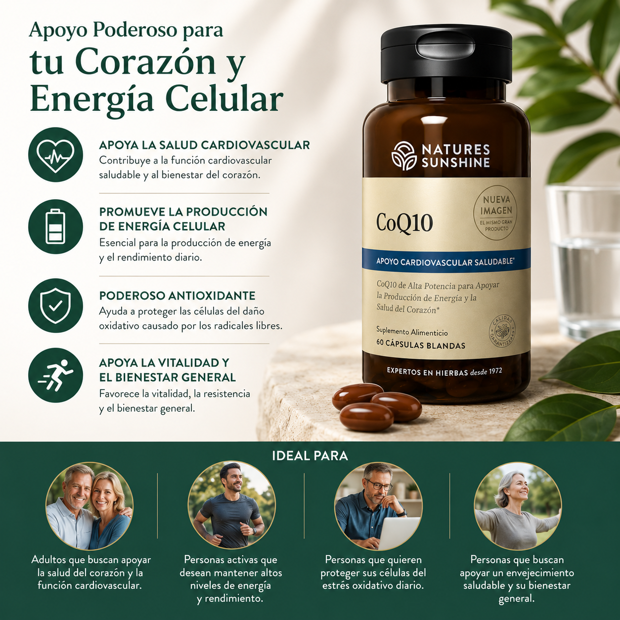CoQ10 (100 mg) – Cardiovascular & Cellular Energy Support | Nature’s Sunshine