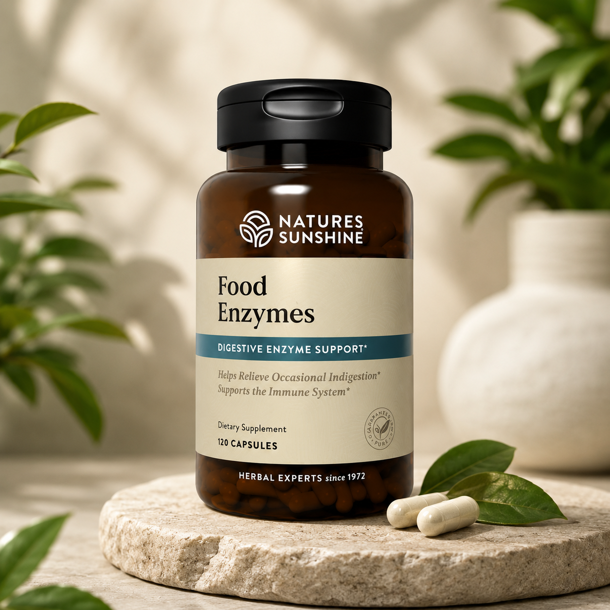 Food Enzymes – Daily Digestive Support