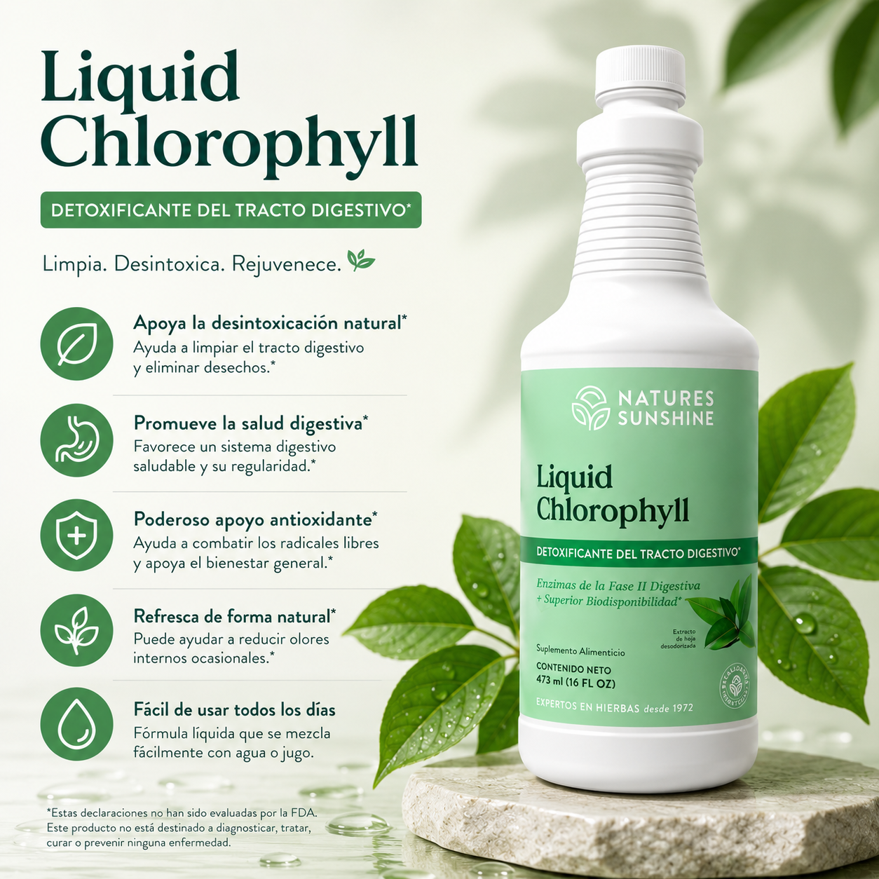 Liquid Chlorophyll – Natural Daily Detox & Digestive Support