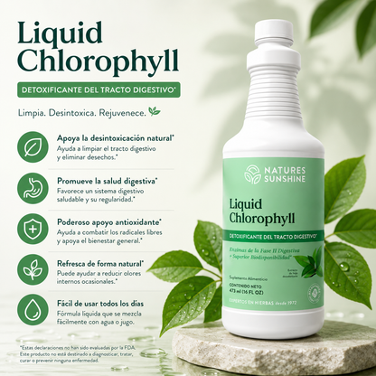 Liquid Chlorophyll – Natural Daily Detox & Digestive Support