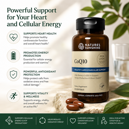 CoQ10 (100 mg) – Cardiovascular & Cellular Energy Support | Nature’s Sunshine