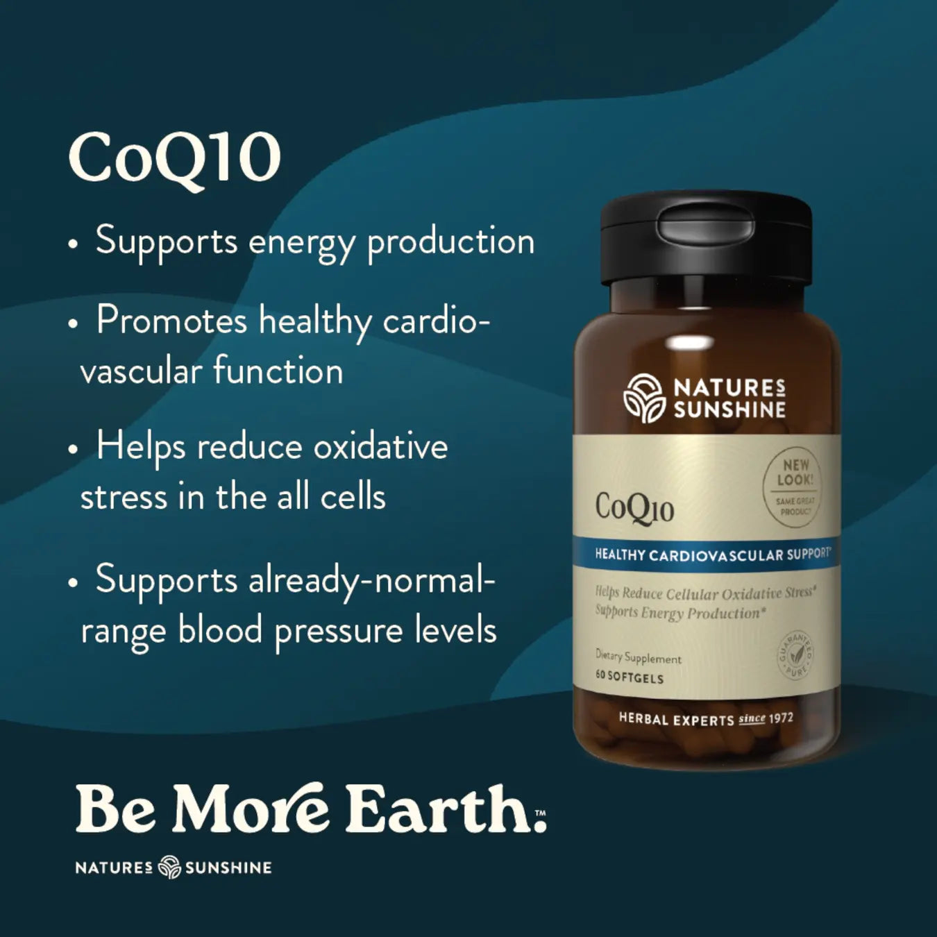 CoQ10 (100 mg) – Cardiovascular & Cellular Energy Support | Nature’s Sunshine