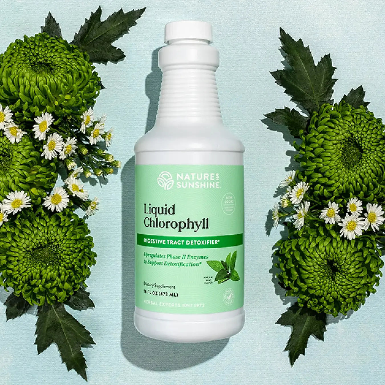 Liquid Chlorophyll – Natural Daily Detox & Digestive Support